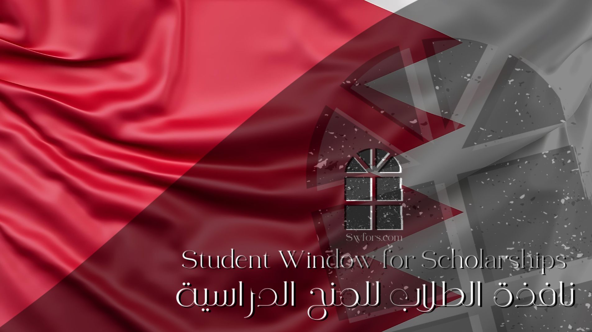 فرص تطوعية في قطر 2024